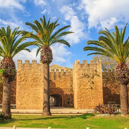 Charming With Panoramic View And Pool #1932 아파트 *